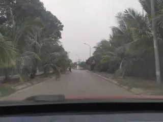 Nhà Máy Xử Lý Nước Thải Hồ Tây