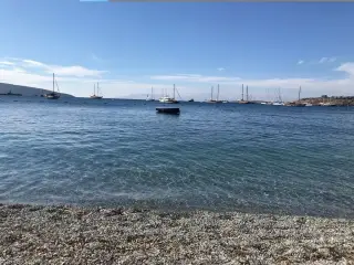 Molly Malones Kumbahçe