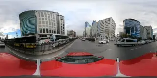 Jabiroo