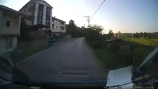 Şok