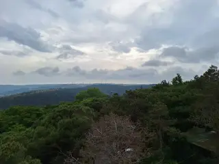 Sarıyer ,rumelifeneri yolu kuş gözlem kulesi