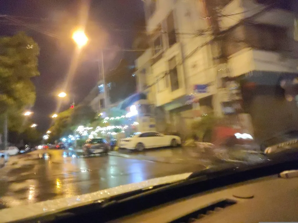 Sakuko Trần Đăng Ninh