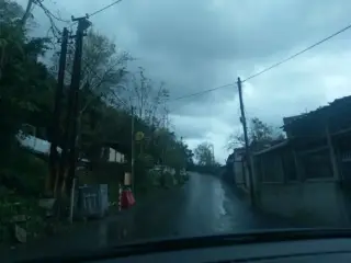 Altınkum balık