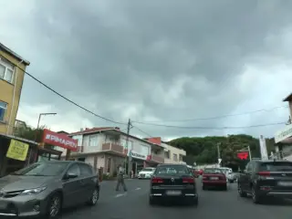 Güney Balıkçılık