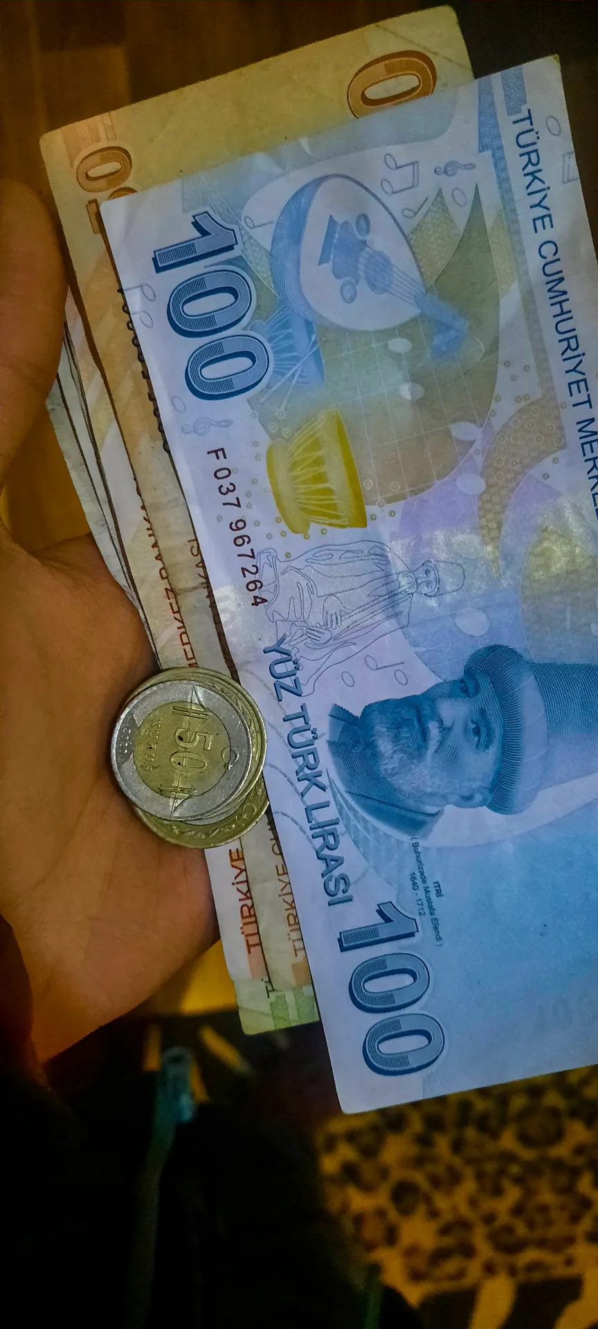 Банкнота в 100 турецких лир