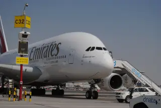 Prilet S Pitomcem: Priem V Aeroportu, Vetkontrol' I Sbory V Dubae I Abu-Dabi