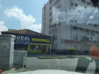 Ekoorman