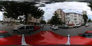 Atatürk Orman Çiftliği İstanbul