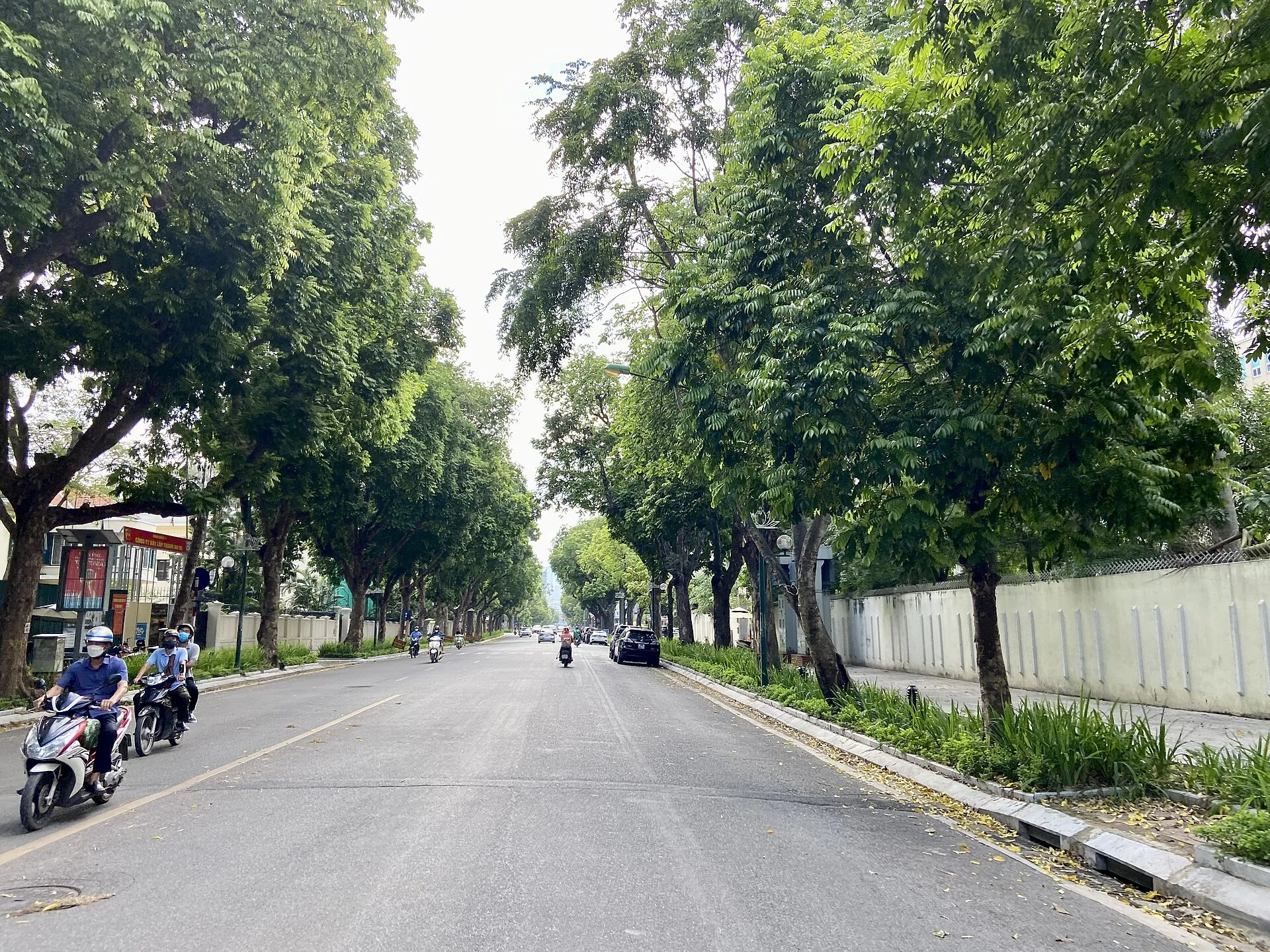PGS,TS Trần Quốc Bình - 0836.754.902