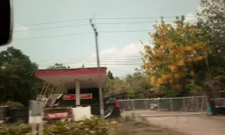 Wan Di Di