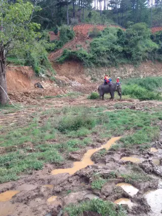 Elephant Terrace