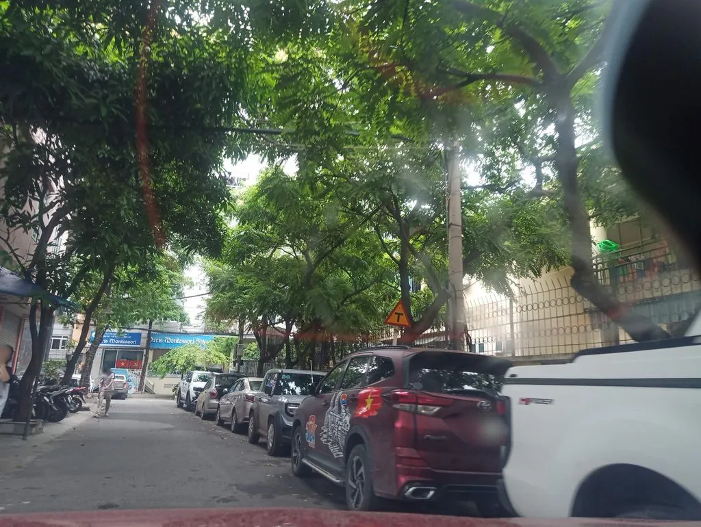Dưỡng sinh Nữ Mcare