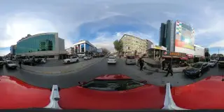 Opdrveyselalparslangolcuk