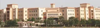 Universitety V OAE: Filialy Zarubeznyh Vuzov, Postuplenie I Stoimost'