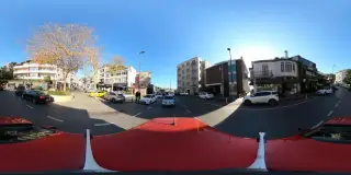 Paraliaki Bebek