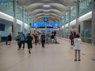 Veterinarnyj Kontrol' V Aeroportu Turcii: Kak Prohodit Proverka I Iz-Za Cego Pitomca Ne Puskaut