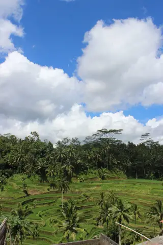 Yanik Bali Private Driver — photo 2