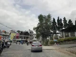 Bia Tươi Hương Trà 9