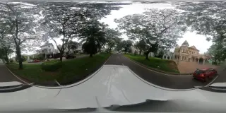 Golden Reflexy-Cibubur