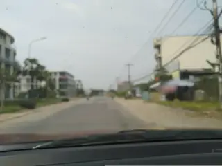 Taura