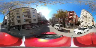 Avcılar Veteriner Kliniği