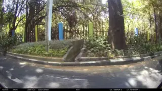 Hutan Kota Babakan Siliwangi