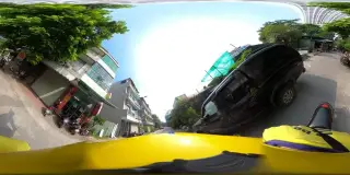 Chim Hút Mật Cường Phạm