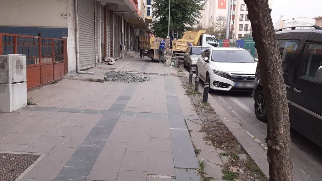 Aslan hukuk bürosu