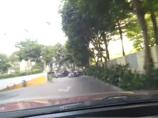 Manwah Estella Song Hành