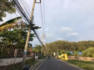 ตำตีนไก่