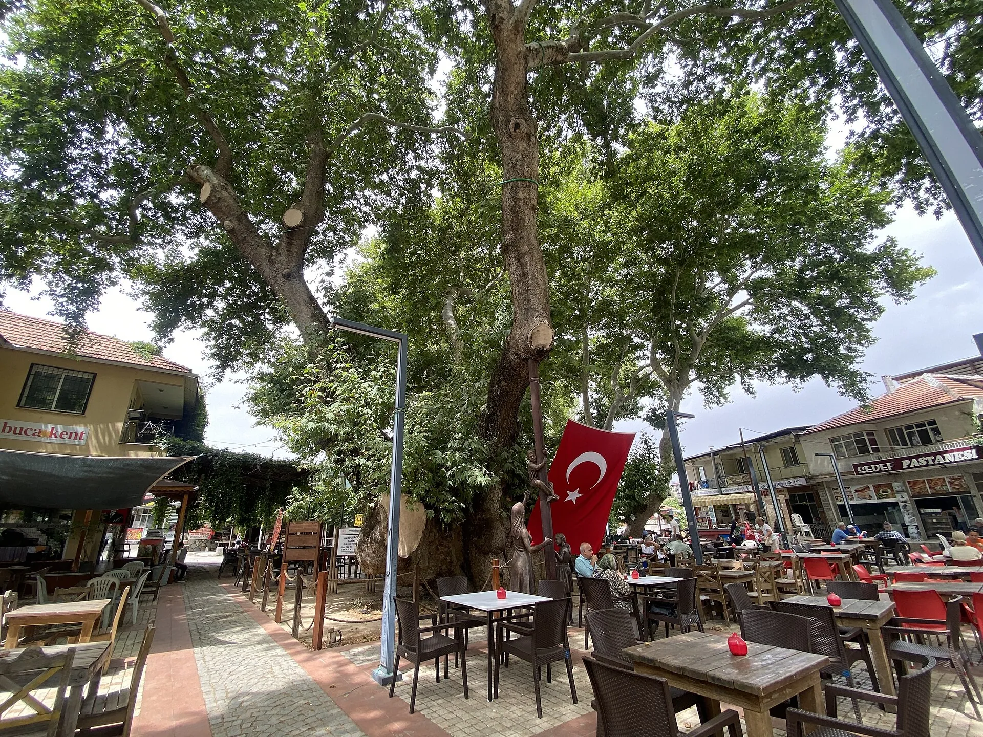 Kunduracı Çınarı Tabiat Anıtı