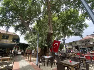 Kunduracı Çınarı Tabiat Anıtı