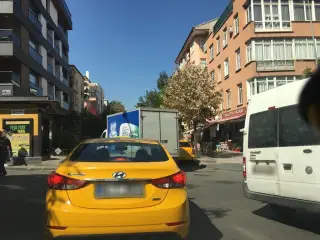 Yüzen Kuzu