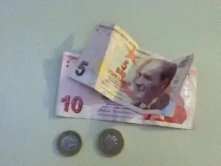 Nalogovyj Dolg V Turcii: Kak Proverit', Osporit' I Pogasit'
