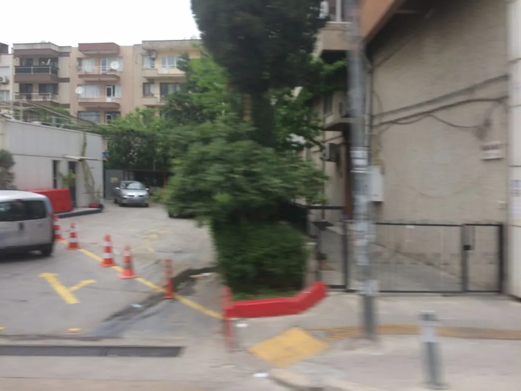 Zeytin çay evi