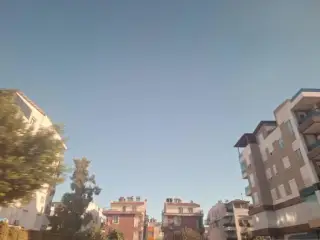 Avukat Şima Avuncan