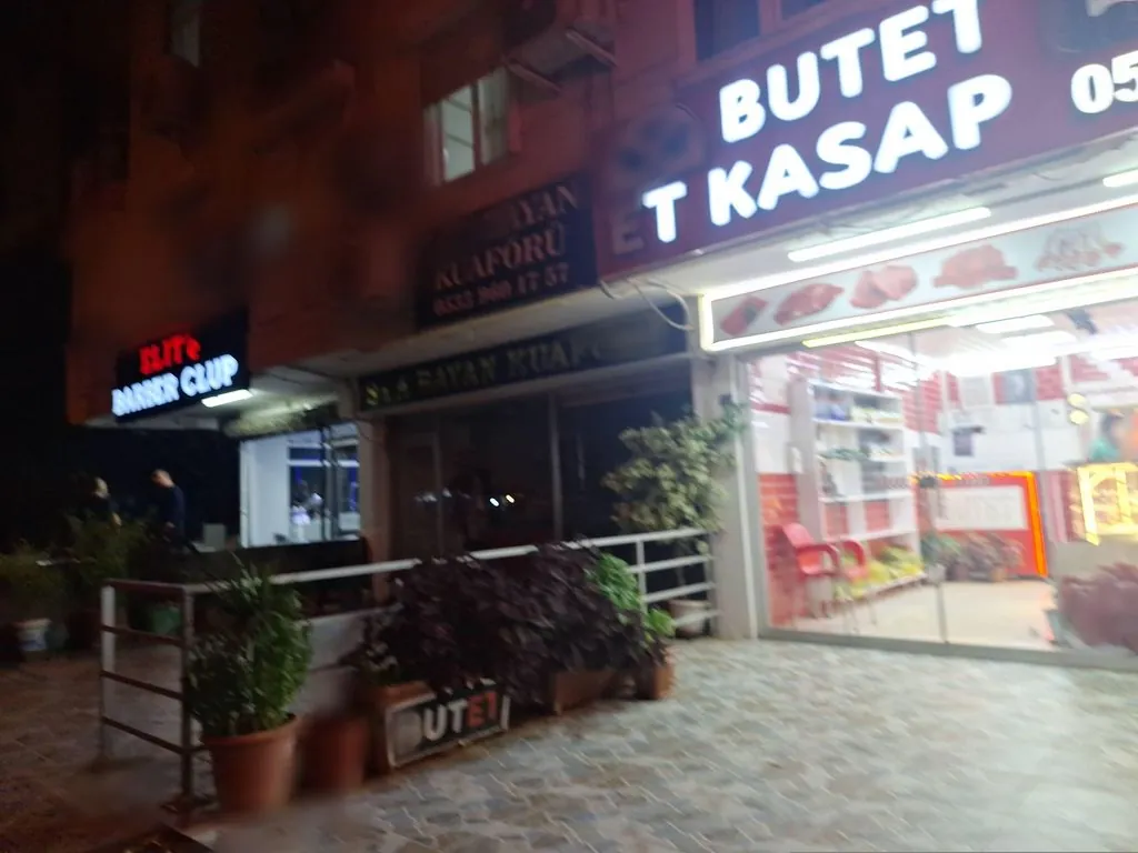Ali Yıldız Ekspertiz Hizmetleri