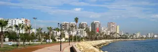 Dutt Mersin