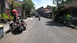 gomashio.ubud