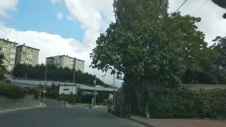 Pirelli