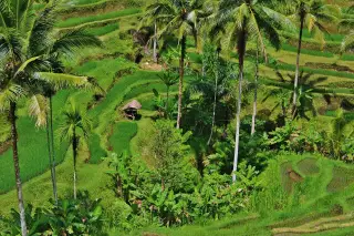 Enclave Ubud