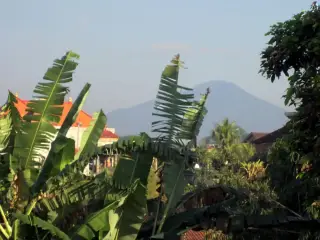 Alacati Ubud Bakery