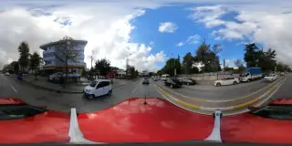 Şok