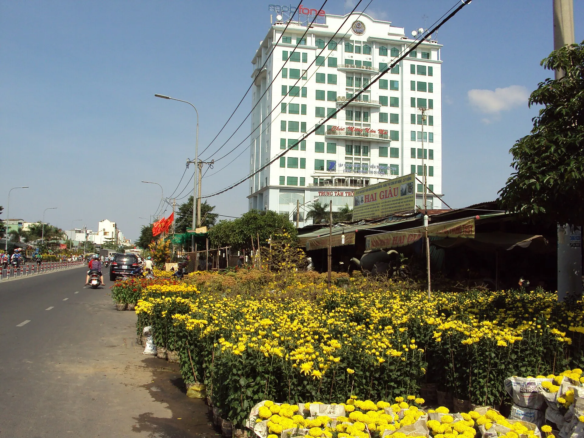 Cá kiểng Hường Châu