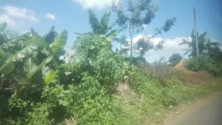Vi vu trải nghiệm cùng 𝗗𝗮𝗽𝗮 𝗛𝗶𝗹𝗹