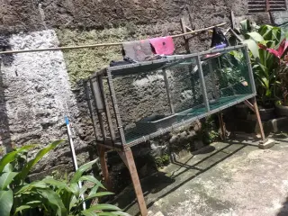 Ma'had Al Fajar Al Islamiy Jakarta