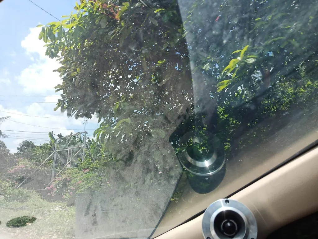 Vườn của Nhung