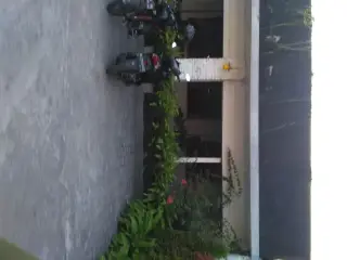 Pendowo Limo Rumah Makan