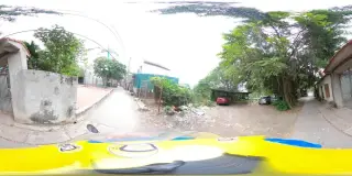 Kim Phúc Linh Điện