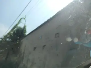 Gạo sạch Liên Phát